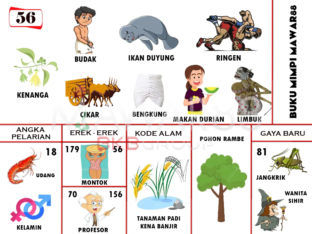 buku mimpi erek erek togel 56